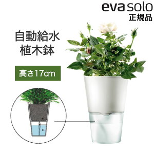 Go\ t[|bg n[u|bg z Aؔ zCg STCY 568103 EVS091 evasolo kuh fUC CeAG G  pi f}[N Ki