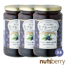 【新物入荷！】【1本1296円】オレゴン州の生ブルーベリーシロップ仕立て（680g×3本） 保存料不使用 着色料不使用 ブルーベリー 生 オレゴン産 シロップ仕立て アントシアニン ポリフェノール お歳暮 ギフト 祝