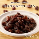 カリフォルニアレーズン 1kg ノンオイル アメリカ産 ドライフルーツ オイル不使用 チャック付き レーズン 1kg 保存料無添加 保存料不使用 国内パック