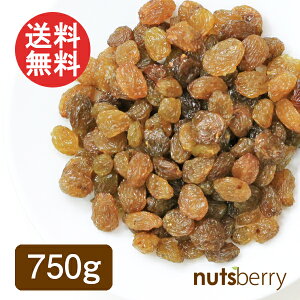 yz}XJbg[Y (750g/I[XgAY/䂤pPbgz/ICsgp/sgp/`bNt) | [Y hCt[c p ٍޗ [Og H  T
