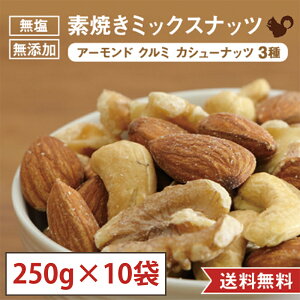 y250g×10܃Zbg(2.5kg)zfĂ ~bNXibc  Y  A[h JV[ibc N~ ӓ  ܂ e N ԐH hАHi H ~H ۑH