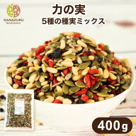 力の実 400g かぼちゃの種 松の実 クコの実 ひまわりの種 ブルーベリー ミックス ナッツ シード 種実 自…