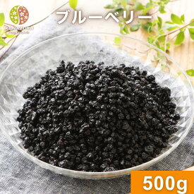 ブルーベリー 500g ドライフルーツ ワイルドブルーベリー 朝食 おやつ お菓子作り ヨーグルト 製菓材料 製パン材料 ケーキ材料 アントシアニン アメリカ産 ワイルド種 小粒 チャック袋 送料無料 金鶴食品製菓