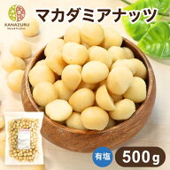 マカダミアナッツ 500g ナッツ 塩あり 有塩 フライ加工 自社製造 工場直送 おやつ おつまみ ツマミ ホー…