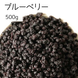 ブルーベリー 500g ドライフルーツ 食品添加物不使用 朝食 おやつ お菓子作り ヨーグルト アメリカ産 ワイルド種 小粒
