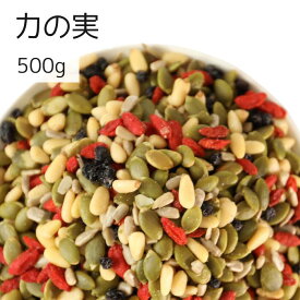 力の実 500g かぼちゃの種 松の実 クコの実 ひまわりの種 ブルーベリー ミックス ナッツ 自社製造 工場直送 朝食 おやつ 送料無料