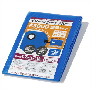  u[V[g W[V[g C[WV[gu[ #3000  1.8×2.7m | J[{l[gng gpڈ1N 1