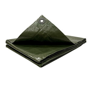 ylbgz^JCN#2500 ODO [V[g2.7m×3.6m 260GS205 h Ԍ W[V[g OhV[g ^[v