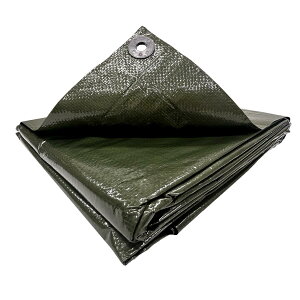 ylbgz^JCN#2500 ODO [V[g3.6m×3.6m 260GS209 h Ԍ W[V[g OhV[g ^[v