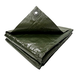 ylbgz^JCN#2500 ODO [V[g3.6m×5.4m 260GS211 h Ԍ W[V[g OhV[g ^[v