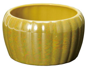 F Z Y {  RpNg  a _ @ { fBXvC a jg Ւd  @v 蕨 ~ ފ ~ A  Q  