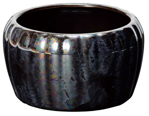 F Z Y {  RpNg  a _ @ { fBXvC a jg Ւd  @v 蕨 ~ ފ ~ A  Q  