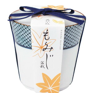 聖新陶芸 春 / 秋の 手のひら庭園 まめ盆栽 盆栽キット ミニ 栽培キット ゆったり育てる もみじ 簡単 栽培セット ( 自由研究 ) 鉢の径約9cm 染付小紋盆栽 父の日 母の日 プレゼント 誕生日 GD-452