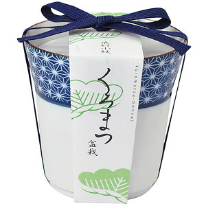 V| t / H ̂Ђ뉀 ܂ߖ~ ~̓Lbg ~j ͔|Lbg Ă  ȒP ͔|Zbg ( R ) ̌a9cm t~ ̓ ̓ v[g a GD-45201