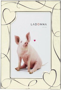 LADONNA hi tHgt[ zCg NP08-2L-WH