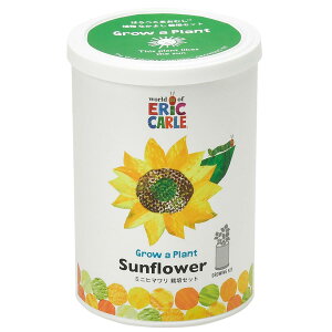 V| ʔN ƒ؉ ȒP ͔|Lbg ~jq}  ͔|Zbg (R) ̌a7cm ͂؂ނ Ȃ悵 HP-0204