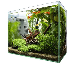 テトラ (Tetra) テトラ サイレントフレックスセット 30 ガラ ス 水槽 ア クアリウム 熱帯魚 メダカ 金魚 その他 魚