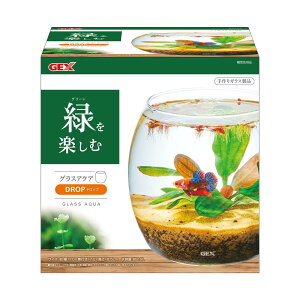 GEX A QUARIUM O XA NA hbv-N A NAE ^  eE