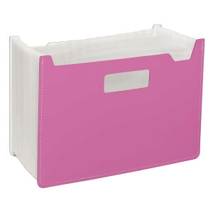 ZLZC psG hLgX^h Ch 25P sN FB-2382