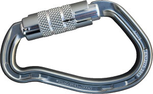 bNeNX(RocfTeryx) oR NC~O egNCbNbN(2F) Vo[O[(SGRY) AMG110072T