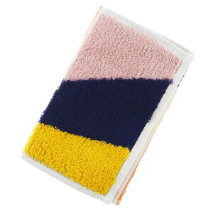 cY ^I Otta n[t^InJ` 22-51 sN 25×12.5cm OT22-0060-0951