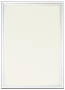 FUJICOLOR �z�� �f�W�t�H�g�t���[��D2 A4 �A���~ �V���o�[ 55330