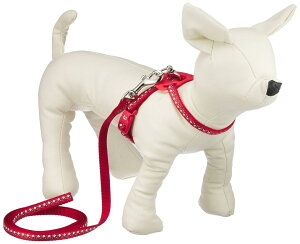 ˂e I[ht [01 փZbgN  Lpn[lXE [h