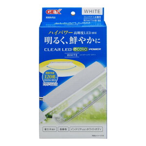 WFbNX GEX NALED GRIA[ p[ zCg ^LED n Cp[LED F