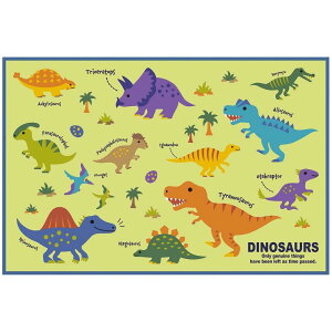 XP[^[ W[V[g STCY 60×90cm fBmTEX sN`[ubN VS1-A