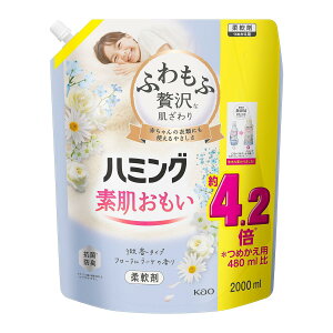 n~O yeʁzt f _ ӂґȔENo.1̂炩 t [u[P̍ lւp 2000ml