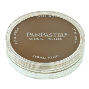 �p���p�X�e�� �I�����W �G�N�X�g���_�[�N 22801