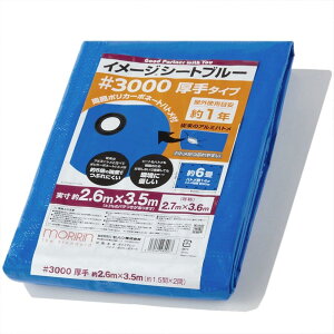  u[V[g W[V[g C[WV[gu[ #3000  2.7×3.6m | J[{l[gng gpڈ1N 1