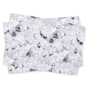 COLORFUL CANDY STYLE `}bg  PET NWƍqC