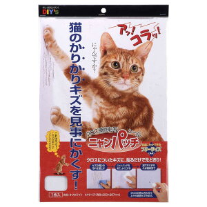 z̗F NX]ʃV[ jpb`  A4TCY NY-02 200X287mm