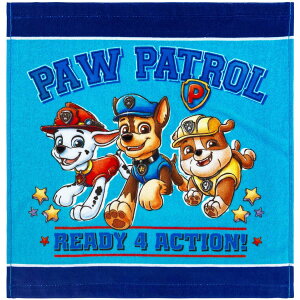 (Hayashi) EHbV^I 34×35cm pEEpg[ u[Wv WN415800