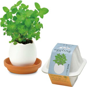 V| ʔN ƒ؉ ȒP ͔|Lbg ~ g  n[u ͔|Zbg (R/H) 7×9cm GbOO GR ̓ v[g a EG-6001