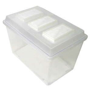 KKDYWQZEE V[P[X v X`bNyRoGVbgAEgIzP[X NK^p RoGVb^[yzt^E{