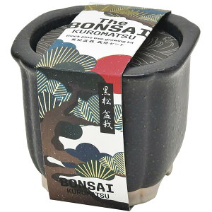 V| ʔN ƒ؉ ȒP ͔|Lbg  ~ ͔|Zbg (R) 9cm The BONSAI GD-99201