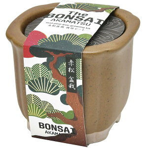 V| ʔN ƒ؉ ȒP ͔|Lbg ԏ ~ ͔|Zbg (R) 9cm The BONSAI GD-99202