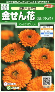 TJ^̃^l 6281  Ǒ 00906281