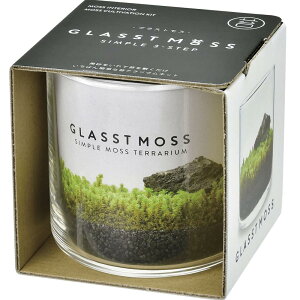 V| t /  / H A NAE ۃeE  ͔|Lbg Ă ͔|Zbg ( R ) M ̌a8cm GLAS STMOSS ̓ v[g a GD-934