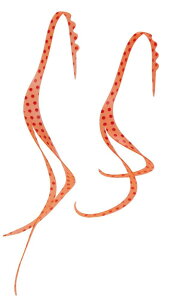 ܂(Gamakatsu)  VRlN^C XbgJ[ [ #33 bhX|bg/IW