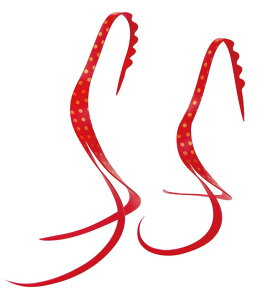 ܂(Gamakatsu)  VRlN^C XbgJ[ [ #50 \bhbhS[hX|bg