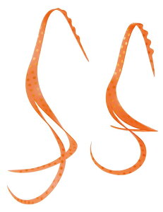 ܂(Gamakatsu)  VRlN^C XbgJ[ [ #51 IWbhS[hX|bg