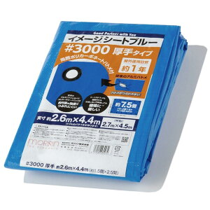  u[V[g W[V[g C[WV[gu[ #3000  2.7×4.5m | J[{l[gng gpڈ1N 1