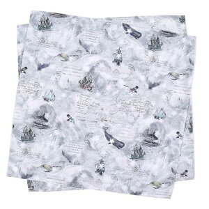 COLORFUL CANDY STYLE `NX X^_[h PET NWƍqC