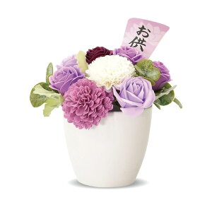 |s[É \[vt [ V{t [    t [|bg e o ԕr 17cm NAP[Xt S-201 p[v