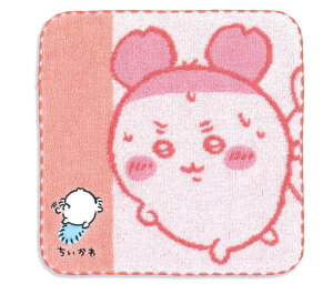 (Chiikawa) ^ł ^InJ` sN Ö{ Jj 41-1380080 25×25cm