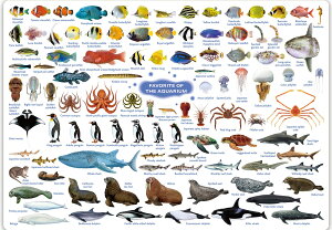 UEANZX ~ ق̐lC p  A4