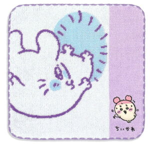 (Chiikawa) ^ł ^InJ` p[v K 41-1380080 25×25cm